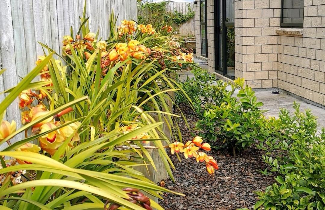 Appartamento W&M Orchid House Auckland Esterno foto